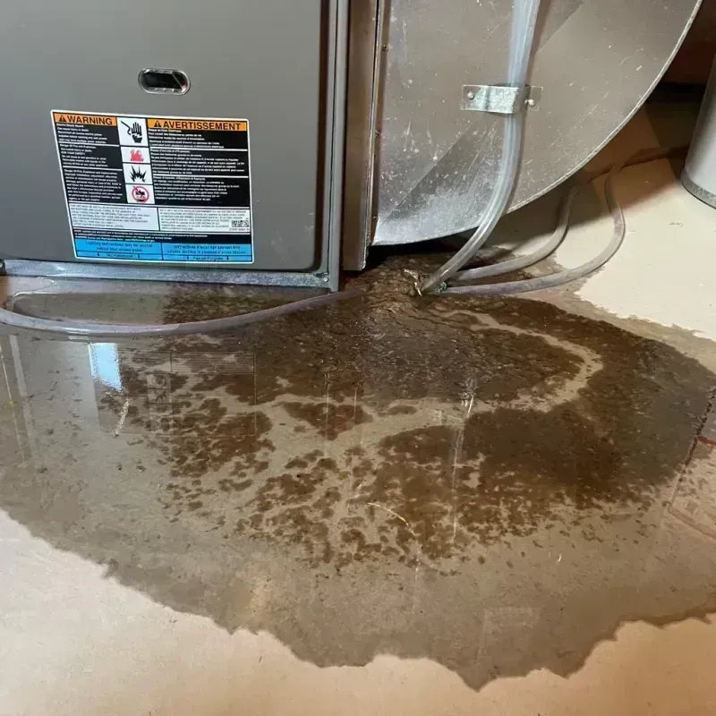 Appliance Leak Cleanup in Morgantown, KY